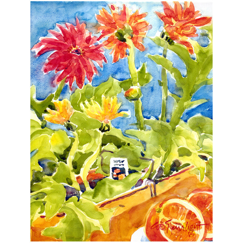 Drapeau de jardin 2 côtés gerber marguerites