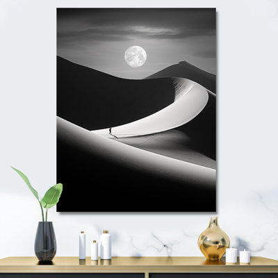 Oasis de sable noir et blanc du désert