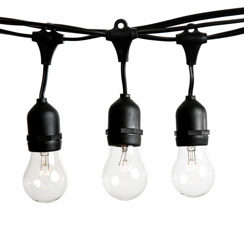 Outdoor 12 - Bulb 24'' Plug-in Arbitrary String Light