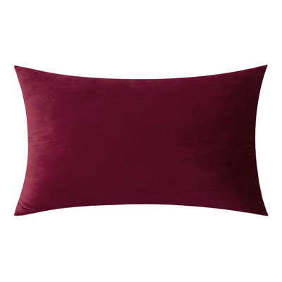  Coussin 12 po x 20 po avec insert