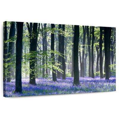 Bluebell Vision