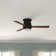 Yamashita 44'' Ceiling Fan with LED Lights