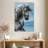 Brampt Equine-108256027