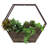 Kaeden Wood Wall Planter