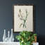 Toile encadrée de qualité supérieure Traditional Botanical IV - prête à être accrochée-1678227271-1678227290