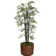 Panama 85'' Faux Bamboo Tree in Fiberstone Planter