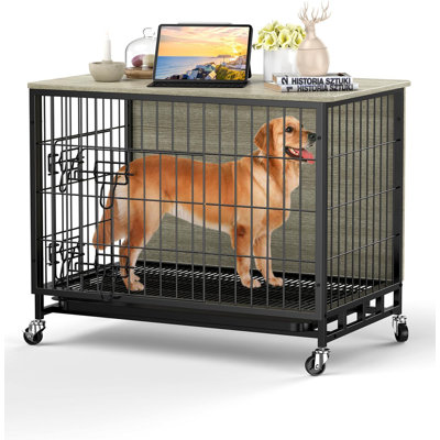 Dog Cage