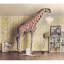 Lustre Tiemann-1641423680-1641423681-1641423691
