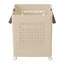 Plastic Laundry Basket-1543608941