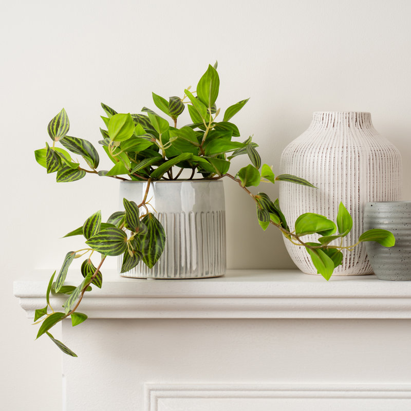 20cm Faux Tradescantia Zebrina Plant in Pot