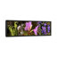 «Détails du début du printemps et des fleurs de crocus», reproduction de photo sur toile-19975604-71974557