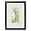 Cactus Illustration - Framed Print-55620956-55620954