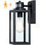 Schlesinger Matte Black 32.13cm H Outdoor Wall Lantern