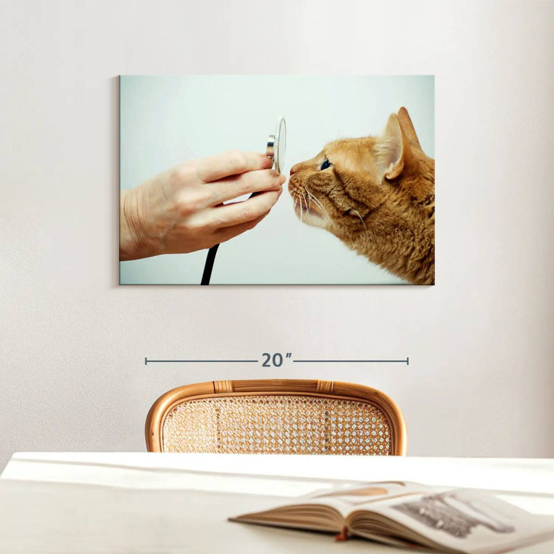 " Cat Vet ", 16" H x 24" W x 1.25" D