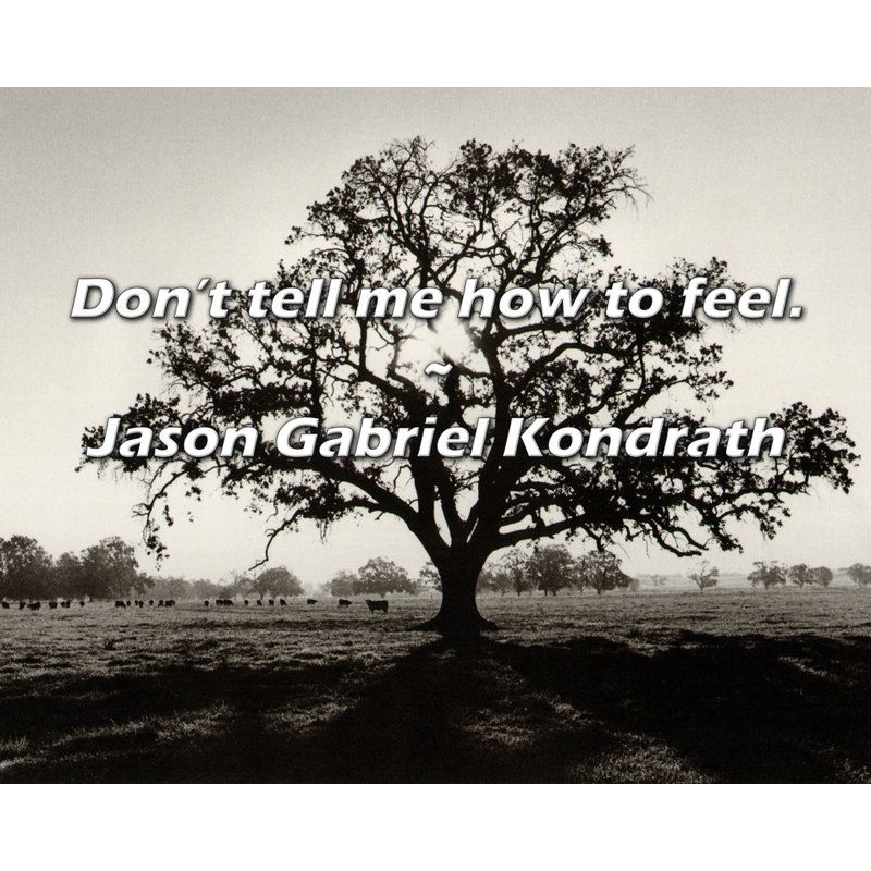 Jason Gabriel Kondrath Quote: Don’t tell me how to feel.