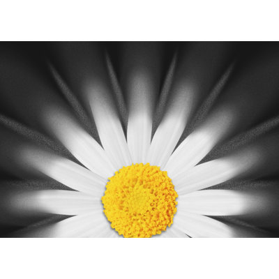 Foeke Floral Area Rug