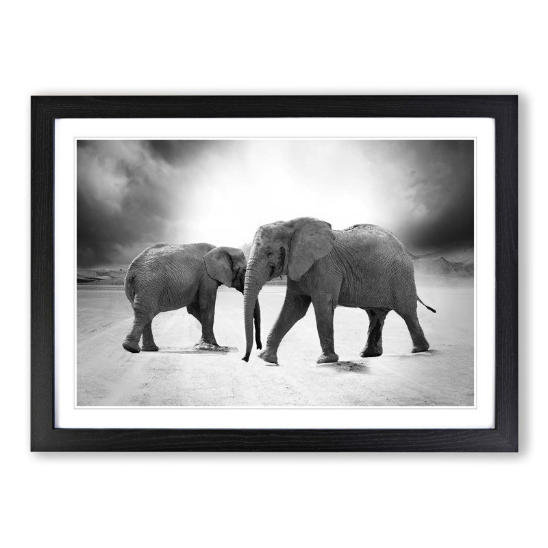 Two Elephants Framed Photographic - Framed Print, Black