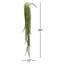 Plante grasse artificielle