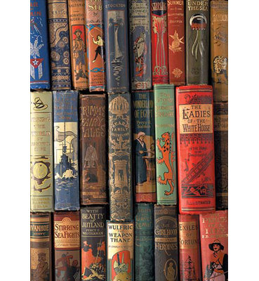 " Book Shelf " by Wilbur Pierce