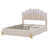 Beige est en rupture de stock
