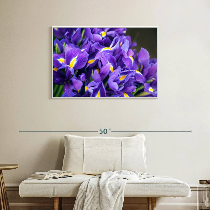 Violet iris, Cadre flottant blanc, 37 po x 25 po