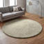 Ainsley Plain Living Room Shaggy Area Rug Modern Soft Pile Polyester Rug-1957084374-1957069048