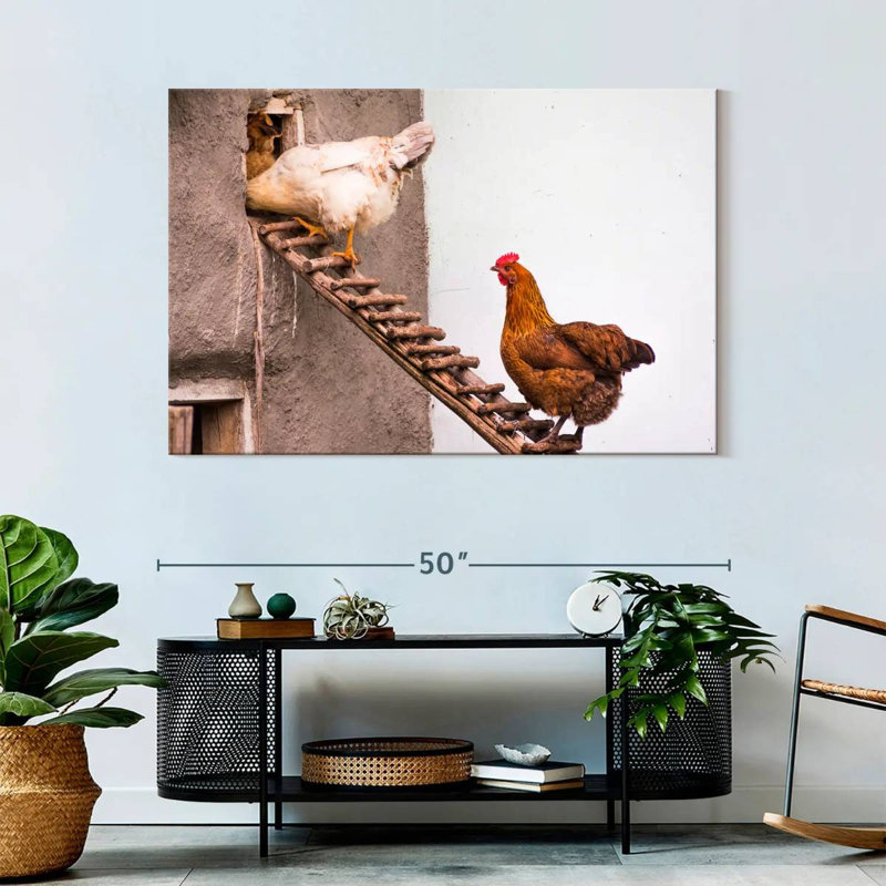 Brampt Chicken Coop, 32" H x 48" W