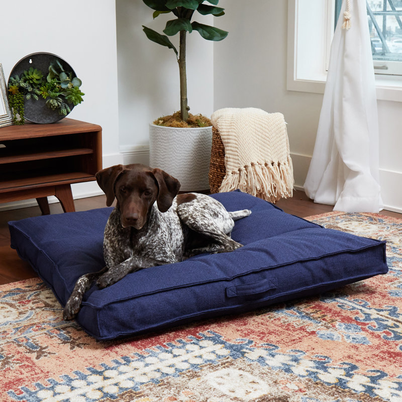 Lit pour chien Longwood, Cobalt, Grand (l 40 po x P 40 po x H 6 po)