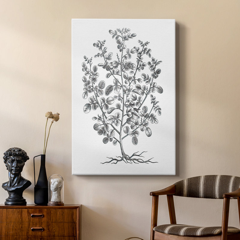 B&W Plant Spechantillon I - galerie sur mesure, H 27 po x l 18 po