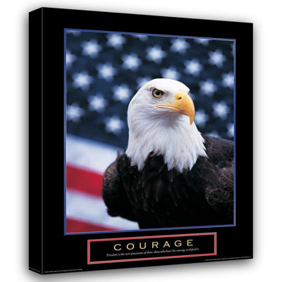 Loon Peak® Unknown Gallery Wrapped Canvas Art Titled: Courage, Eagle and Flag