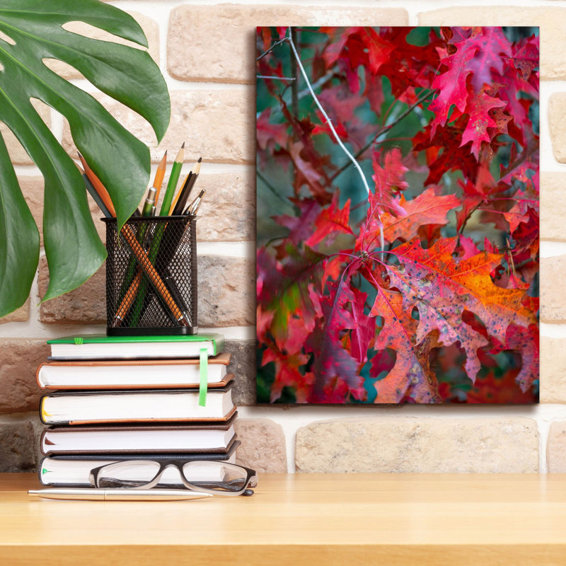  «Autumn Oak Leaves» par Danny Head, art mural sur toile, 12 po x 16 po
