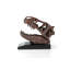 Statue tête de mort Haim T-rex