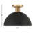 Darrah 1-Light Ceiling Light-1811460160