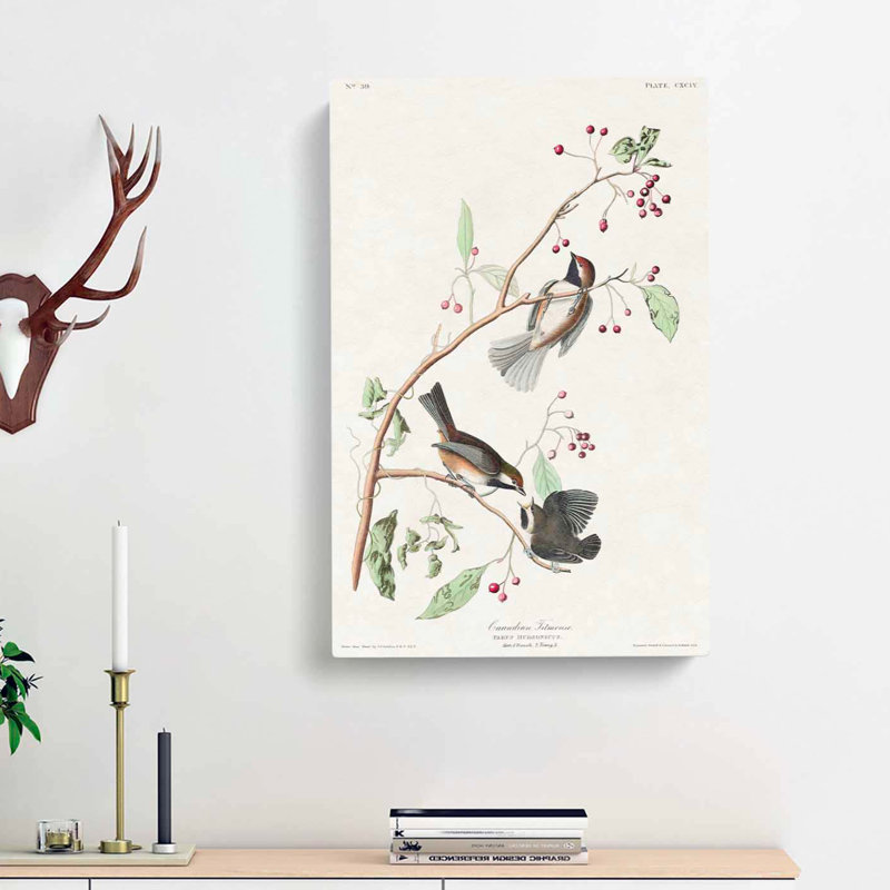 Canadian Titmouse Birds by John Audubon - Wrapped Canvas, 60cm H x 40cm W x 3cm D
