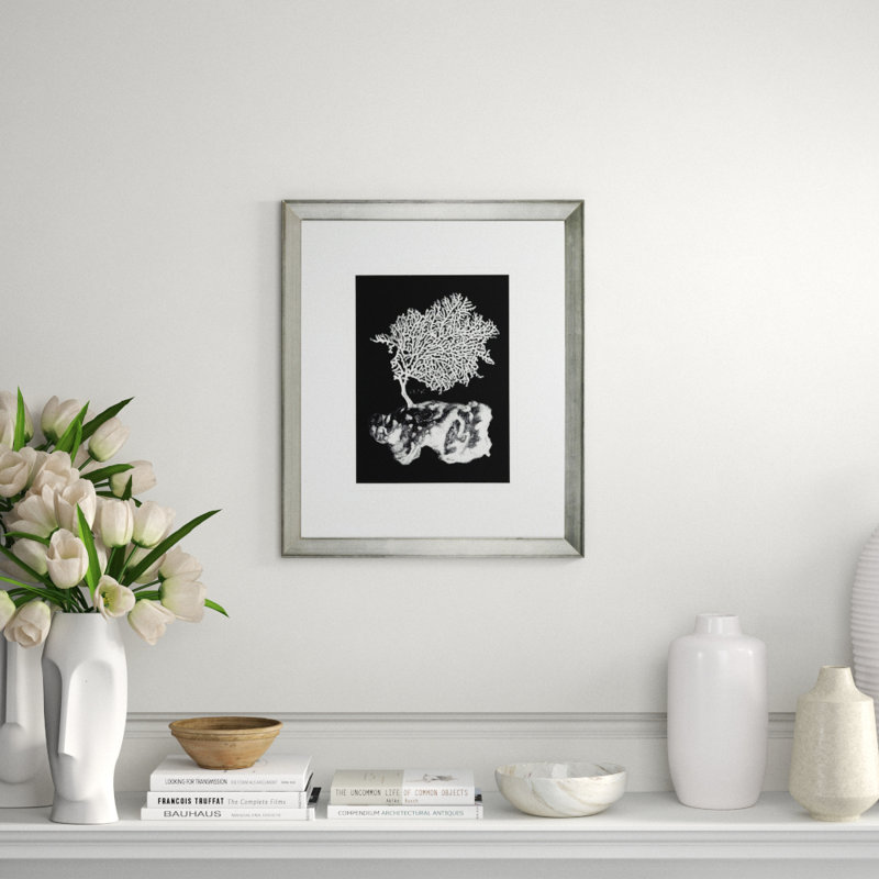 Black And White Coral III Print