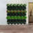 Rufo Self-Watering Wall Planter
