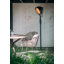 Electric Standing Patio Heater