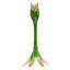 Candlestick-83761755