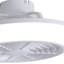 Coleon Ceiling Fan with LED Lights