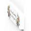 Animals Box Signs & Plaques