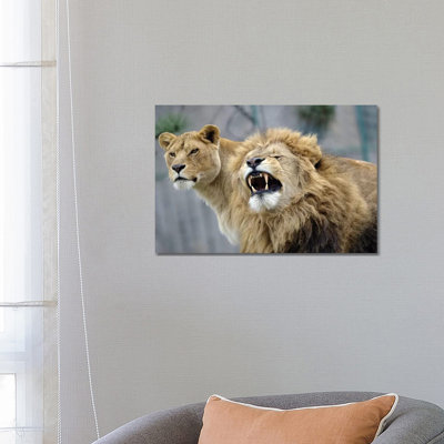 Beauty Lions by Goran Anastasovski - Wrapped Canvas Print