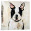 Jasmine by Julian Spencer - Wrapped Canvas Painting-42157349