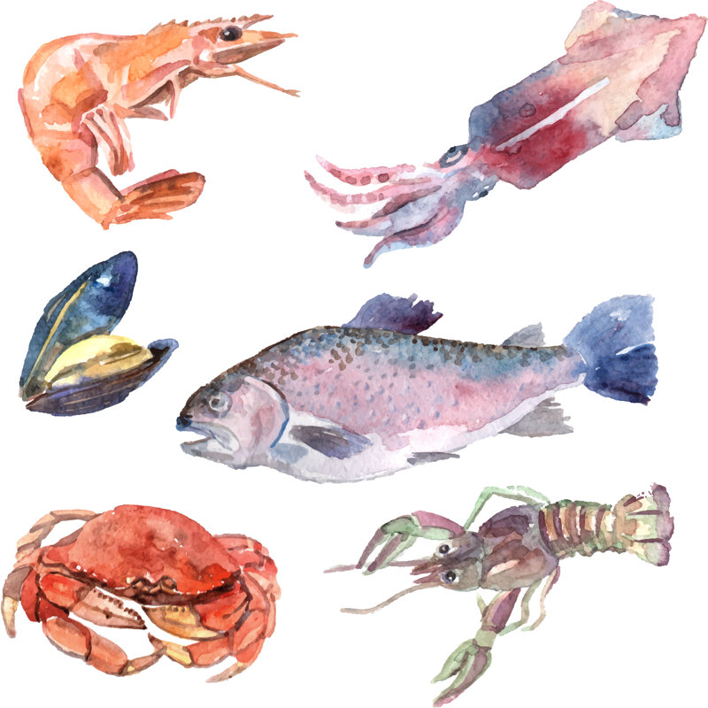 Sea Food by Macrovector - Wrapped Canvas Painting, 30cm H x 30cm W x 3.8cm D