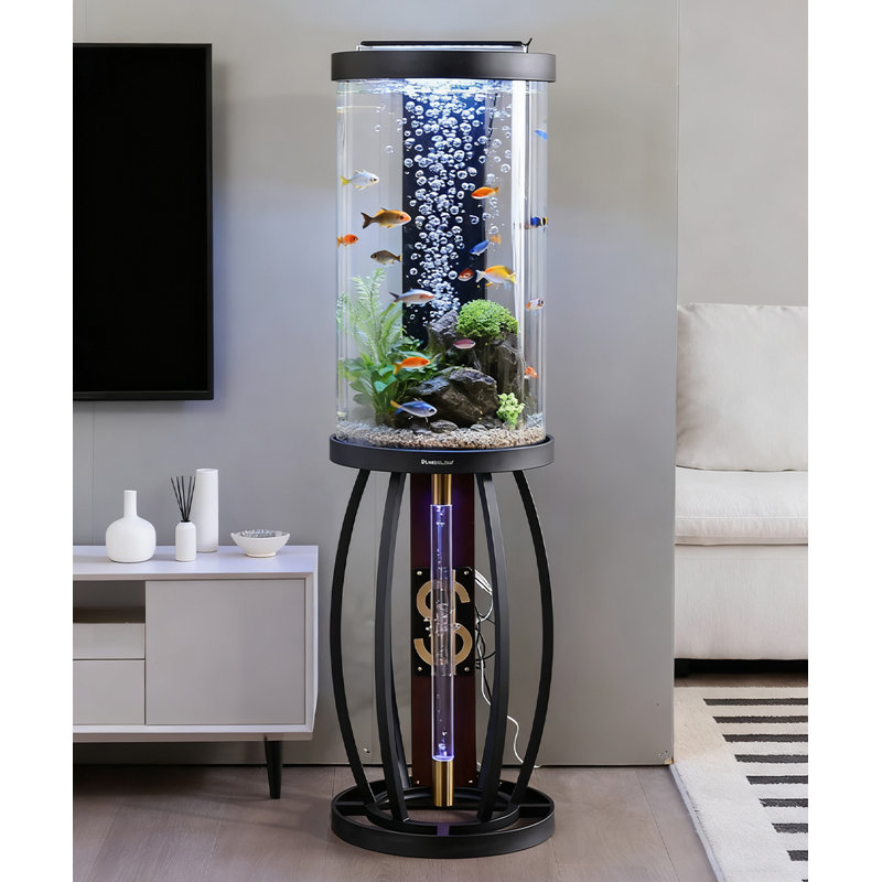 Aquarium aquarium moderne 20 à 20 gallons