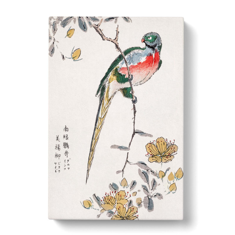 Macaw And Drooping Peach by Numata Kashu - Wrapped Canvas Painting, 91cm H x 60cm W x 3cm D