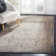 Tuthill Performance Oriental Rug