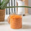 Glass Jar-69691672