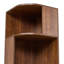 176cm H x 40cm W Bookcase-1109006975