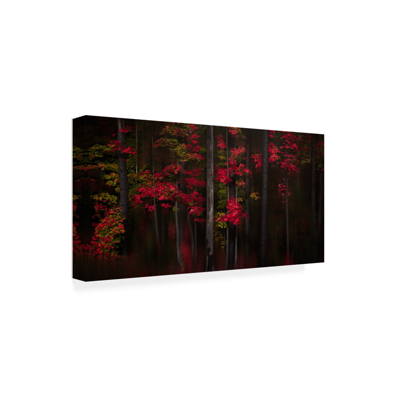 Œuvre sur toile rouge, Andy Hu, H 10 po x l 19 po