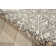 Platine Oriental Area Rug in Beige